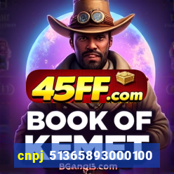 cnpj 51365893000100